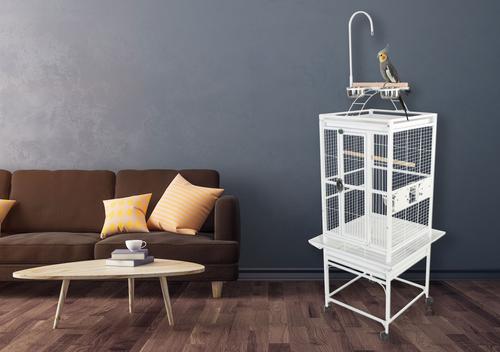 Show full view: A&E Cage Company Play Top Bird Cage, White, X-Small slide 3 of 8