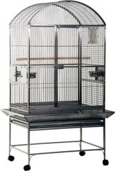A&E Cage Company Stainless Steel Dome Top Bird Cage, 32 x 23 x 63-in