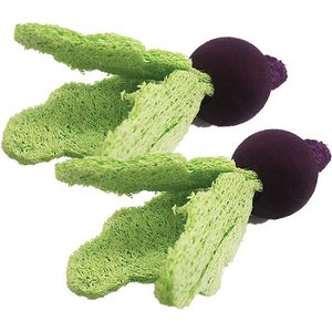 A&E Cage Company Turnips Loofah Small Pet Toy