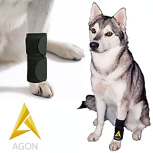 How To Bandage Dog Paw? Step-by-Step Guide for Quick Healing