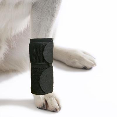 Show full view: Agon Front Leg Brace & Wound Protection Paw Compression & Wrap for Dogs, Small/Medium slide 4 of 6