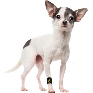 Agon Front Leg Brace & Wound Protection Paw Compression & Wrap for Dogs, XX-Small/X-Small