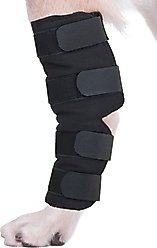 Agon Rear Hock Long Leg Dog Brace, Large