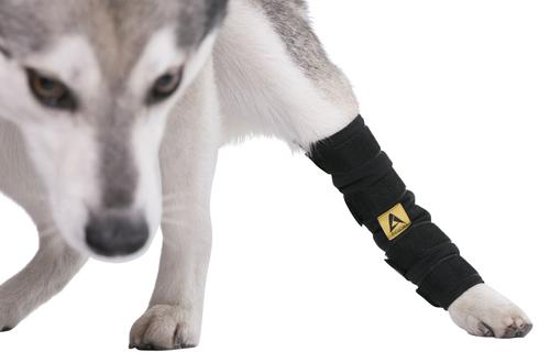 Show full view: Agon Rear Hock Long Leg Dog Brace, Medium slide 3 of 6