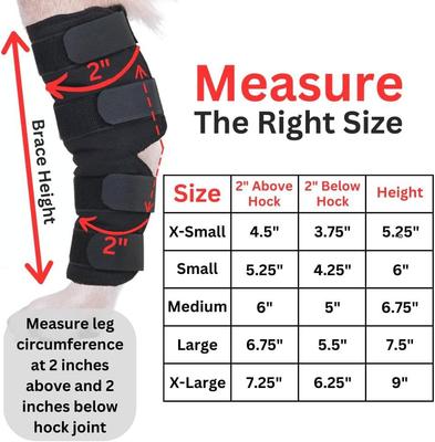 Show full view: Agon Rear Hock Long Leg Dog Brace, Medium slide 5 of 6