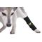 Show in main carousel: Agon Rear Hock Long Leg Dog Brace, X-Small slide 3 of 6