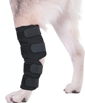 Show full view: Agon Rear Hock Long Leg Dog Brace, X-Small slide 4 of 6