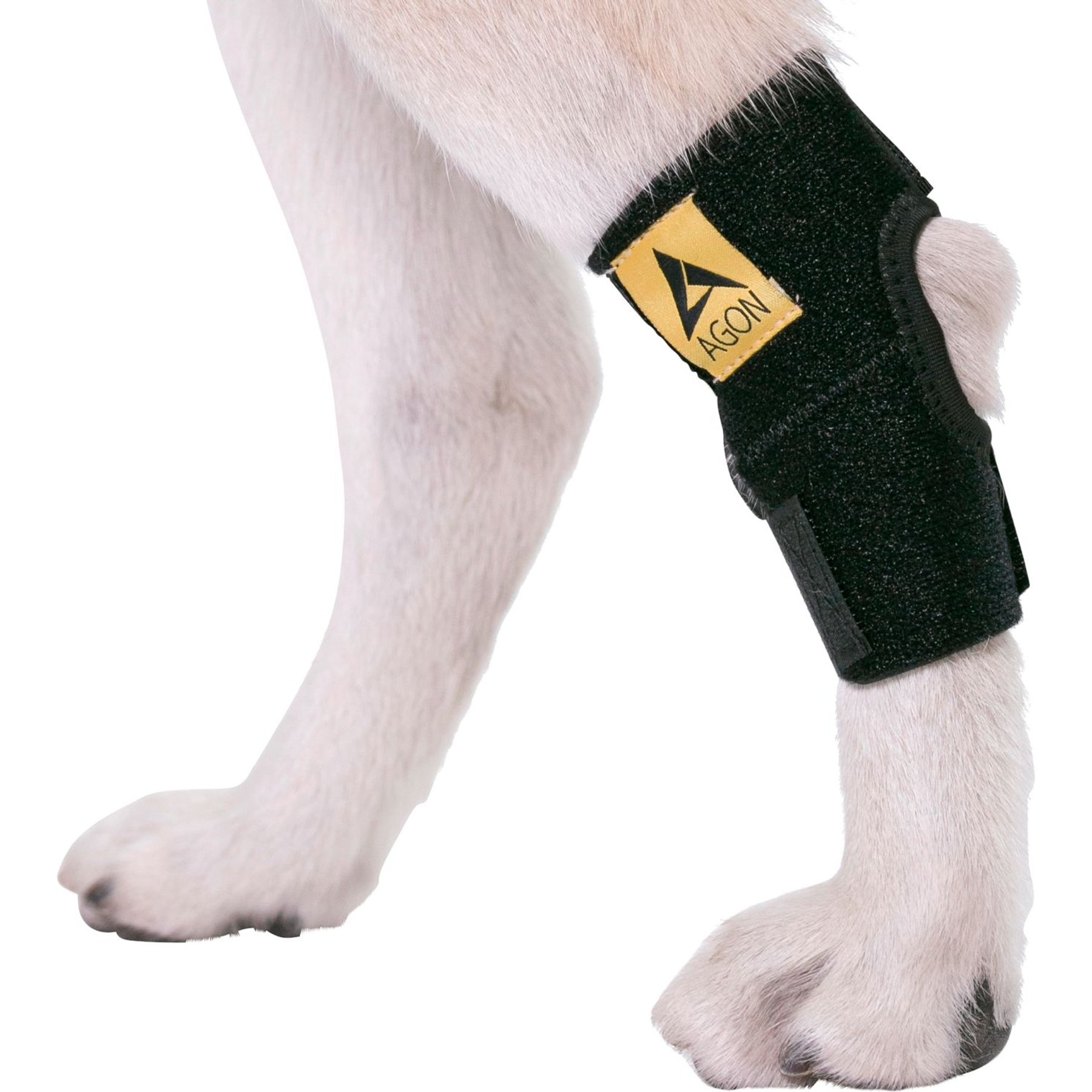 Agon Rear Leg Dog Brace, Medium