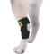Show in main carousel: Agon Rear Leg Dog Brace, Medium slide 4 of 6
