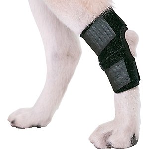 Agon Rear Leg Dog Brace, Small