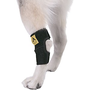 Agon Rear Leg Dog Brace, Small