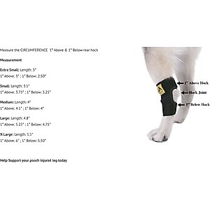 Agon Rear Leg Dog Brace, Small