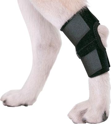 Show full view: Agon Rear Leg Dog Brace, X-Small slide 3 of 7