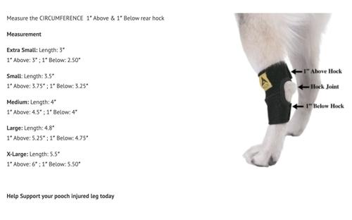 Show full view: Agon Rear Leg Dog Brace, X-Small slide 5 of 7