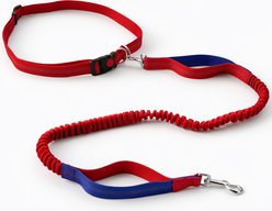 AIPERRO Hands Free Nylon Stretch Dog Leash Set, Medium: 48-in neck, 0.79-in wide, Red