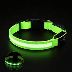 AIPERRO USB Rechargeable Nylon LED Dog Collar, Green, Large: 10 to 12-in neck, 0.79-in wide slide 2 of 7