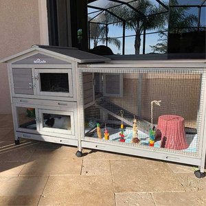 Aivituvin 33.5-in Indoor & Outdoor Ashpalt Roof Wheeled Rabbit Hutch