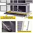 Show in main carousel: Aivituvin AIR06-A Small Pet Indoor/Outdoor Hutch, Gray, Two Story slide 5 of 8