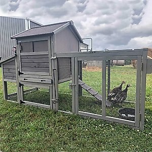 Aivituvin AIR27 Chicken Tractor Chicken House, 2 to 4 Chicken Capacity