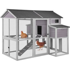 Aivituvin AIR48 Large Chicken House, 6 to 8 Chicken Capacity