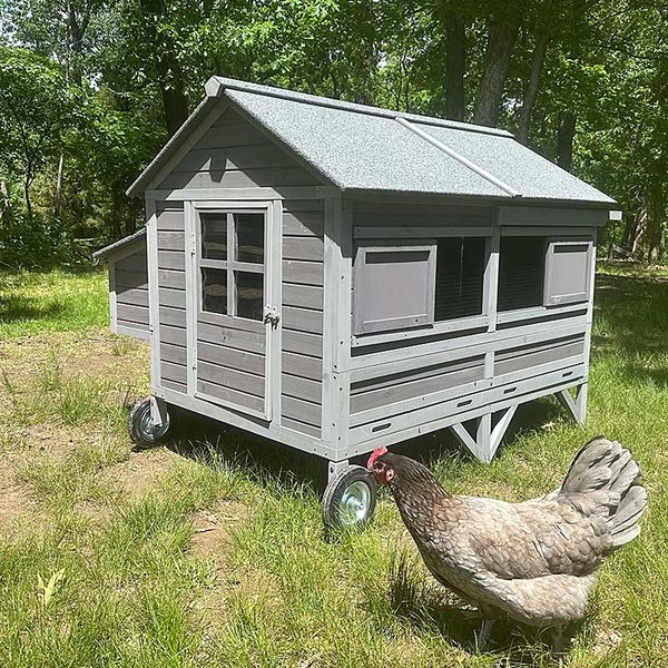 Aivituvin AIR97 Extra-Large Wooden Tractor Chicken Coop, 8 to 10 Chicken Capacity