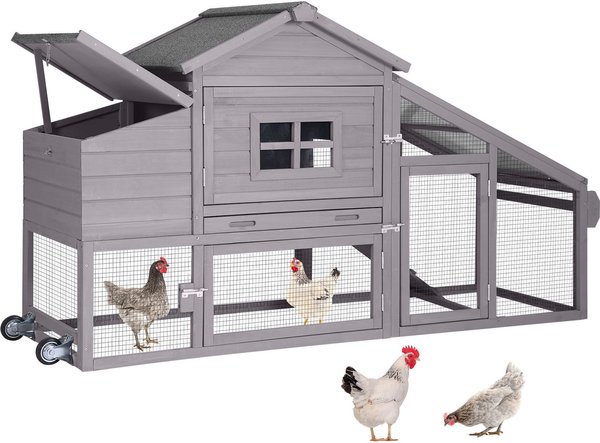 Chickens Together Rabbits In Chicken Coop Uforic Large Wood