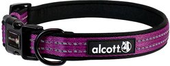 Alcott Adventure Polyester Reflective Dog Collar, Purple, Medium: 14 to 20-in neck