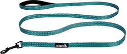 Alcott Adventure Polyester Reflective Dog Leash, Blue, Small: 6-ft long, 5/8-in wide