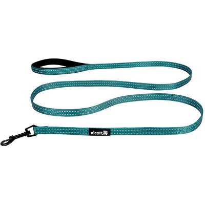 Alcott Alcott Adventure Polyester Reflective Dog Leash, Blue, Small: 6-ft long, 5/8-in wide
