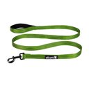 Alcott Adventure Polyester Reflective Dog Leash, Green, Large: 6-ft long, 1-in wide