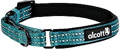 Alcott Polyester Reflective Martingale Dog Collar, Blue, Medium: 14 to 20-in neck