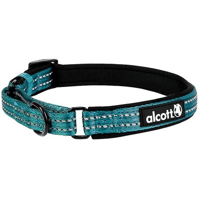 Alcott Alcott Polyester Reflective Martingale Dog Collar, Blue, Medium: 14 to 20-in neck