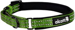 Alcott Polyester Reflective Martingale Dog Collar, Green, Medium: 14 to 20-in neck