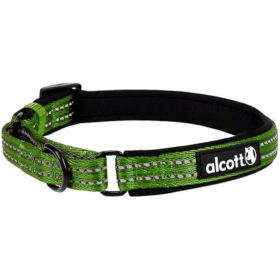 Alcott Alcott Polyester Reflective Martingale Dog Collar, Green, Medium: 14 to 20-in neck