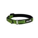 Alcott Polyester Reflective Martingale Dog Collar, Green, Medium: 14 to 20-in neck
