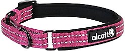 Alcott Polyester Reflective Martingale Dog Collar, Pink, Medium: 14 to 20-in neck