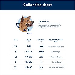 Alcott Polyester Reflective Martingale Dog Collar, Red, Large: 18 to 26-in neck slide 2 of 2