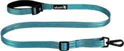 Alcott Weekender Polyester Reflective Dog Leash, Blue, 5-ft long, 1-in wide