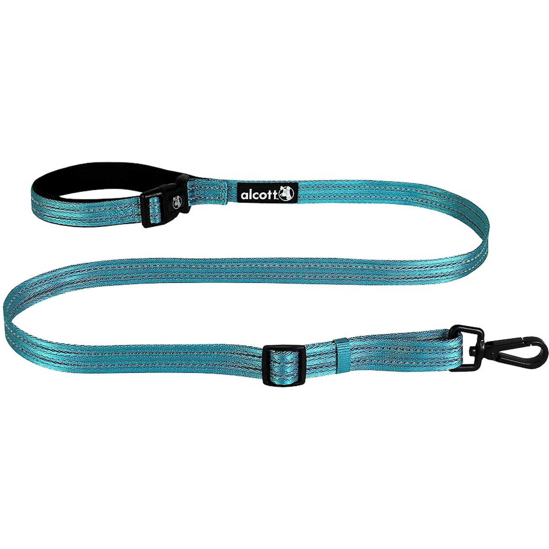 Alcott Weekender Polyester Reflective Dog Leash, Blue, 5-ft long, 1-in wide