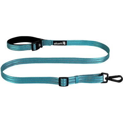 Alcott Alcott Weekender Polyester Reflective Dog Leash, Blue, 5-ft long, 1-in wide