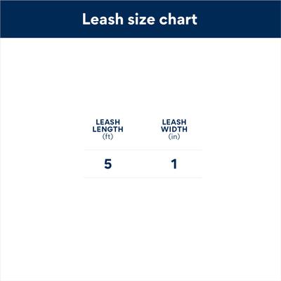 Show full view: Alcott Weekender Polyester Reflective Dog Leash, Pink, 5-ft long, 1-in wide slide 2 of 2