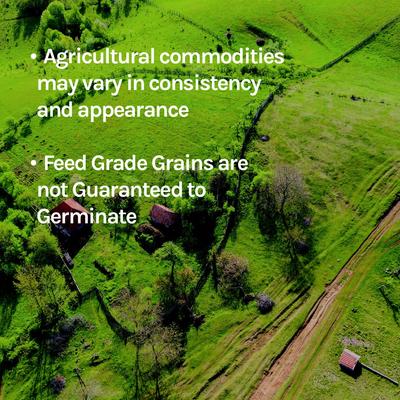 Show full view: Alfagreen Supreme Organic Alfalfa Pellets Horse Supplement, 50-lb bag slide 5 of 5