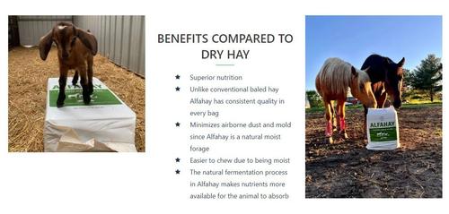 Show full view: Alfahay Probiotic Alfalfa Farm Animal Feed, 50-lb bag slide 3 of 8