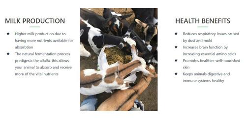 Show full view: Alfahay Probiotic Alfalfa Farm Animal Feed, 50-lb bag slide 4 of 8