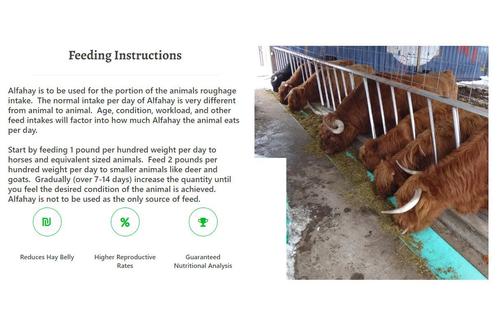 Show full view: Alfahay Probiotic Alfalfa Farm Animal Feed, 50-lb bag slide 5 of 8
