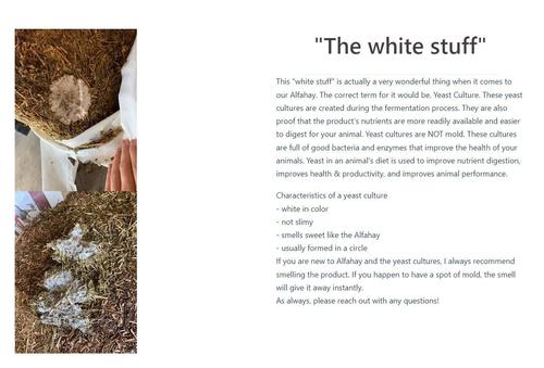 Show full view: Alfahay Probiotic Alfalfa Farm Animal Feed, 50-lb bag slide 6 of 8