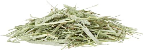 Show full view: Alfalfa King Double Compressed Timothy Hay Small Animal Food, 25-lb bag slide 3 of 8