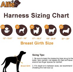 Alfie Pet Vince Sailor Polyester Back Clip Dog Harness & Leash, Large: 19 to 20.5-in chest slide 2 of 7