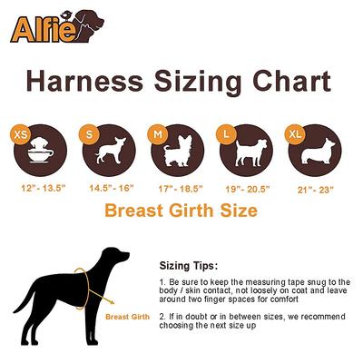 Show full view: Alfie Pet Vince Sailor Polyester Back Clip Dog Harness & Leash, Large: 19 to 20.5-in chest slide 2 of 9