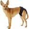 Show in main carousel: Alfie Pet Washable Female Dog Diaper, Black, Small: 13.5 to 16.5-in waist slide 3 of 11